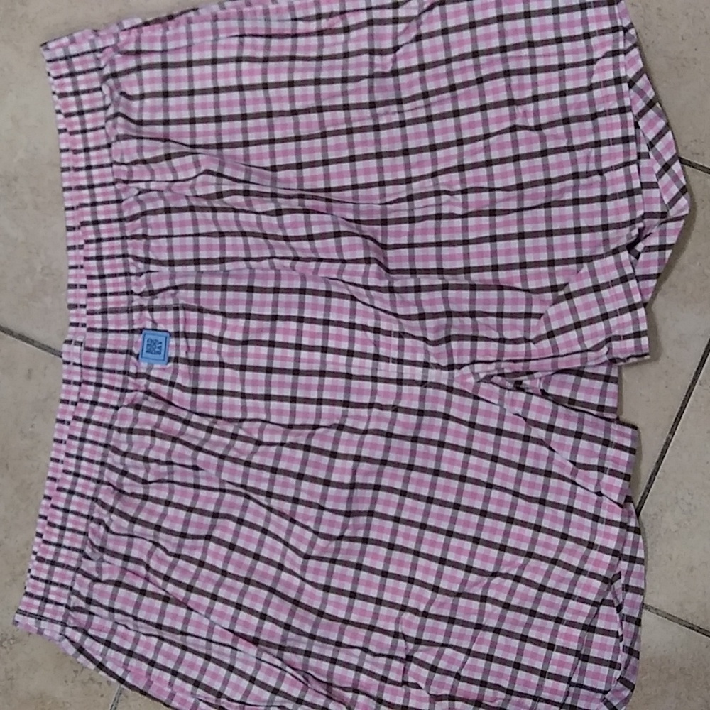 Bird dog bay boxers